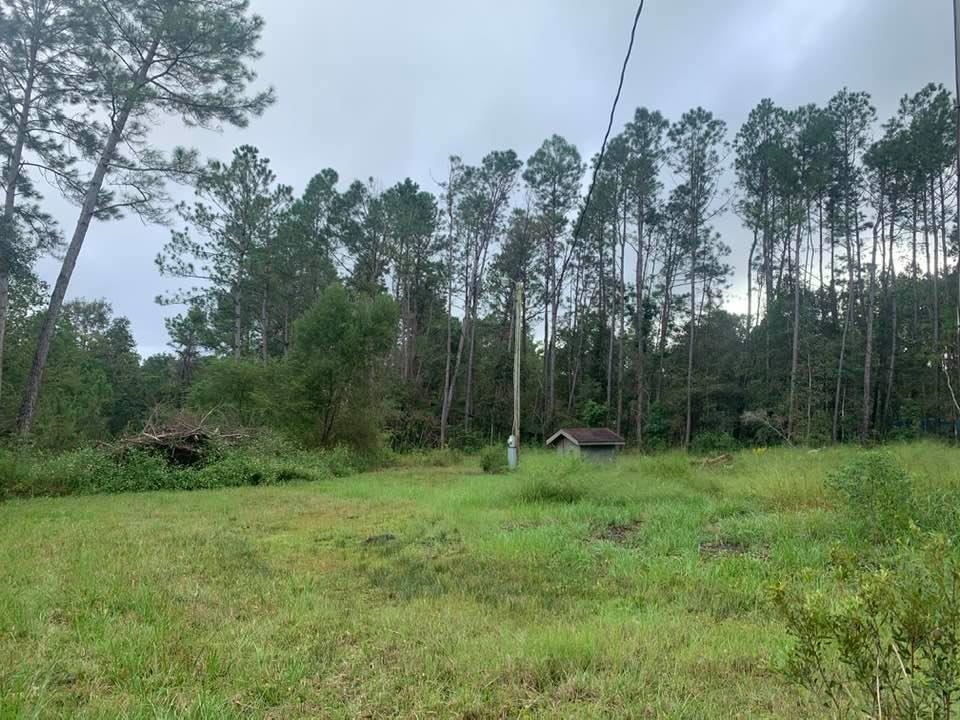 26348 Feely Road Elberta, AL 36530 - Photo 3 of 43