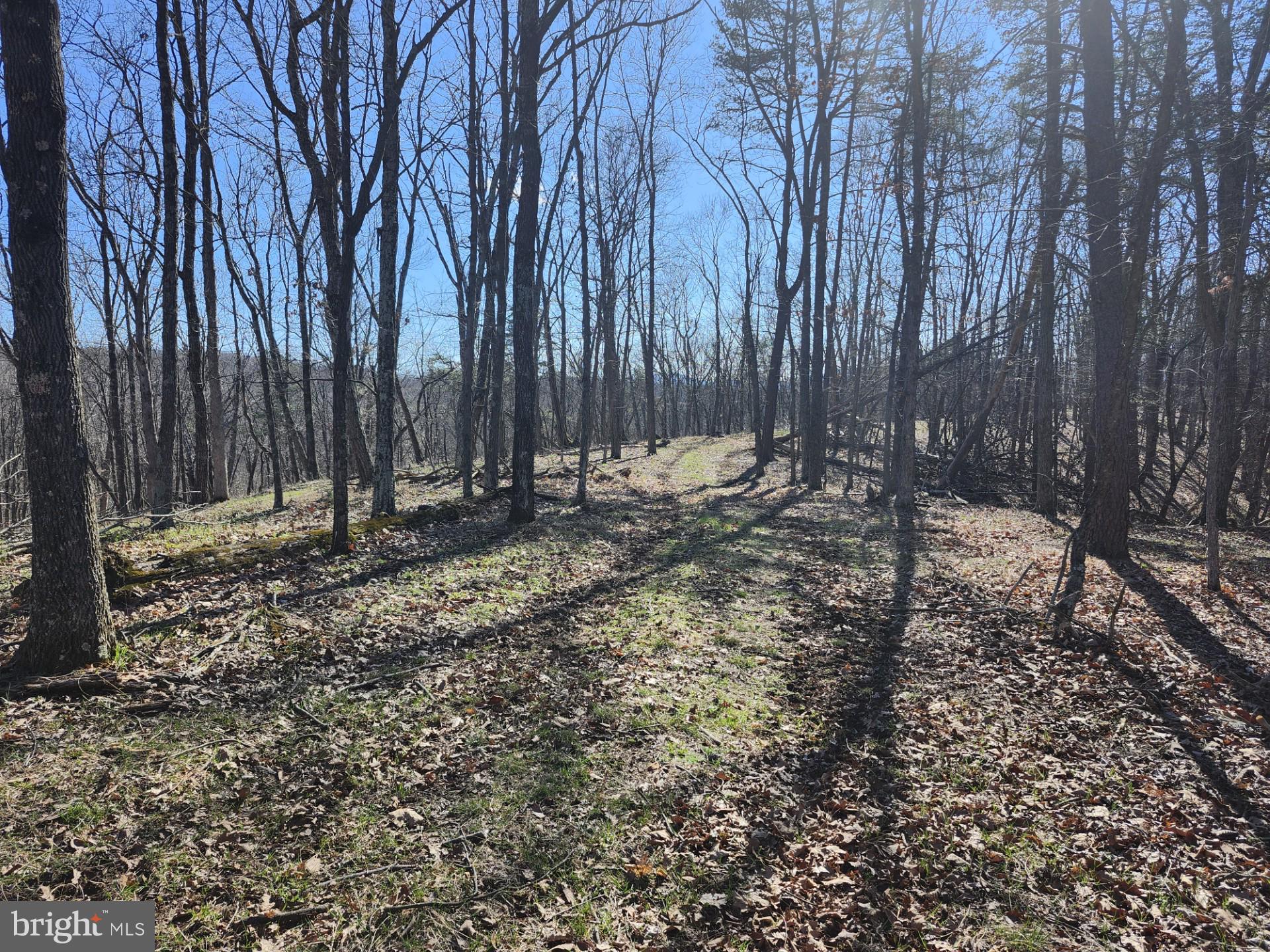 A J Kelley Road Old Fields, WV 26845 - Photo 58 of 65