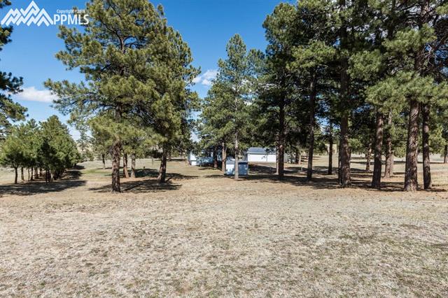 37699 Sable Ridge Road Elizabeth, CO 80107 - Photo 6 of 34 Gallery Image 6