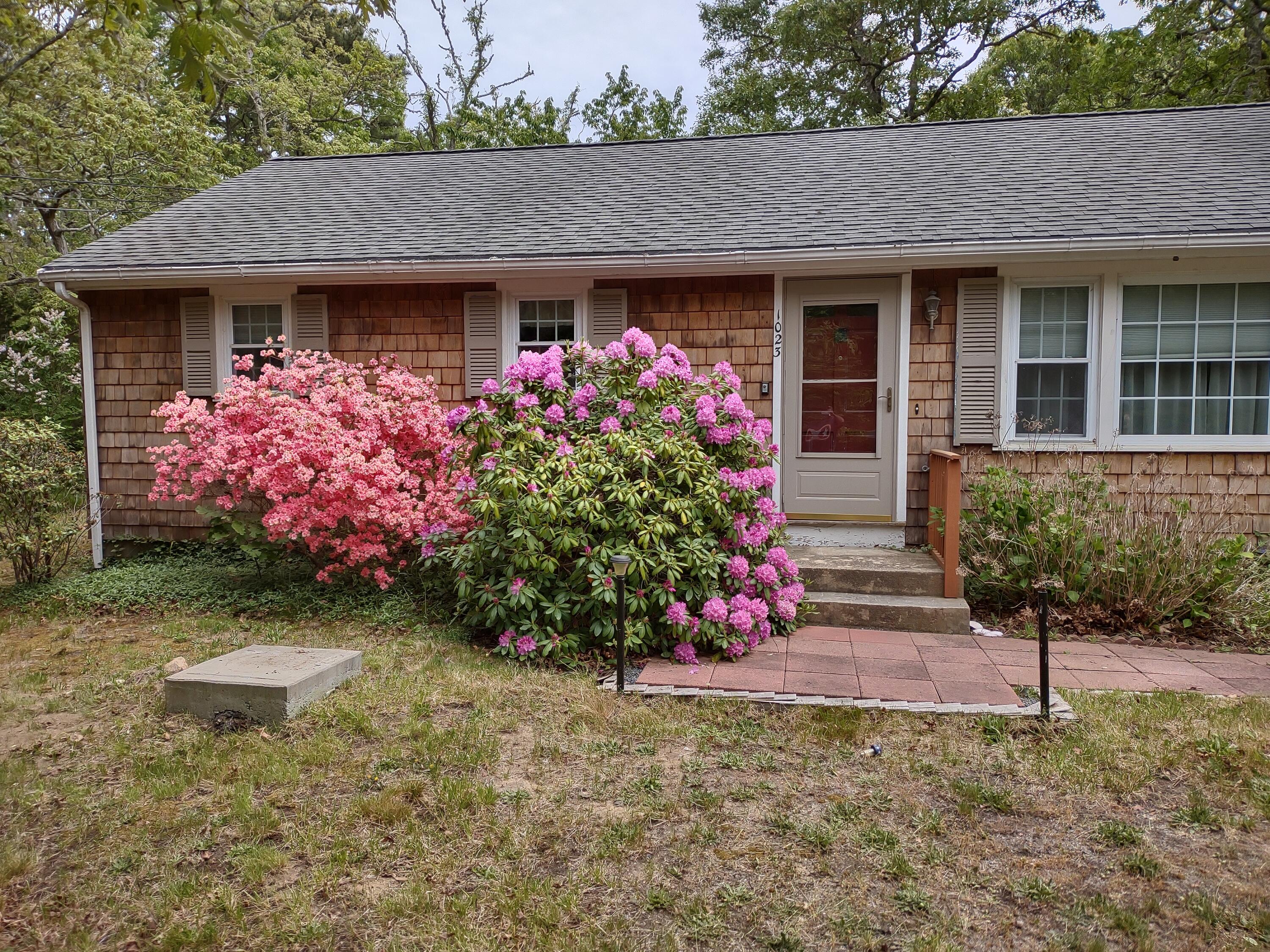 1023 Millstone Road Brewster, MA 02631 - Photo 18 of 18 1023 house flowers