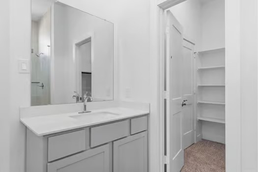 22534 Basswood Bnd Road Waller, TX 77484 - Photo 5 of 8 a bathroom with a sink and a mirror