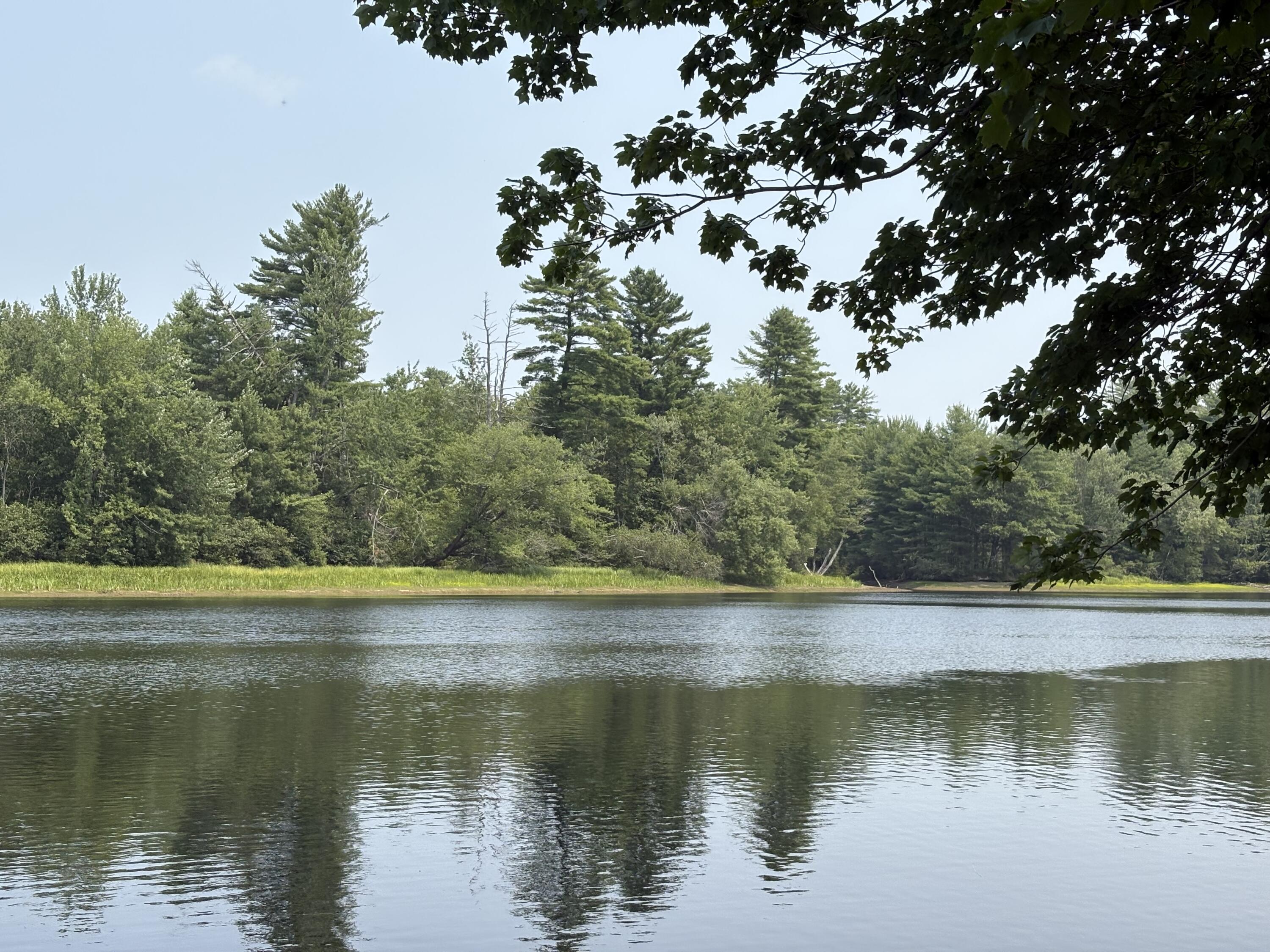171 Sand Pond Road Hollis Center, ME 04042 - Photo 20 of 21 IMG_9193