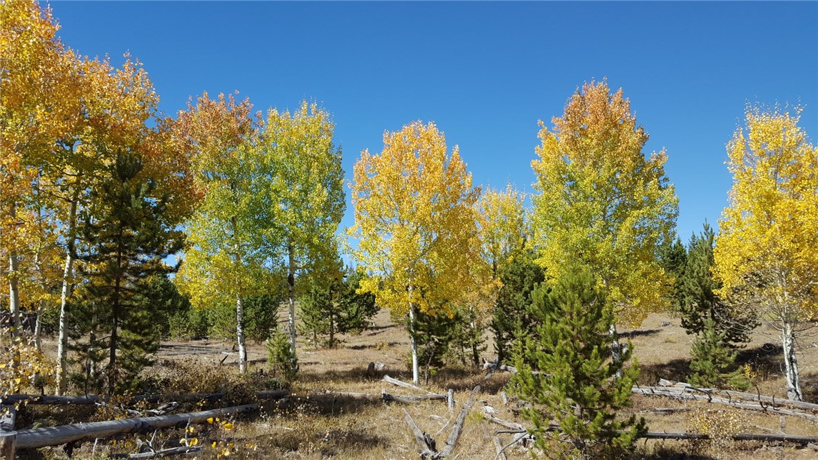 12200 Ute Pass Road Silverthorne, CO 80498 - Photo 16 of 25 Gallery Image 16