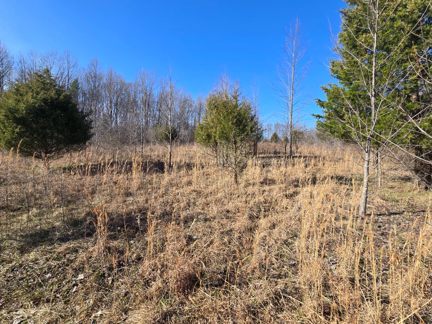 0 Mettle Road Laurel, IN 47024 - Photo 11 of 35