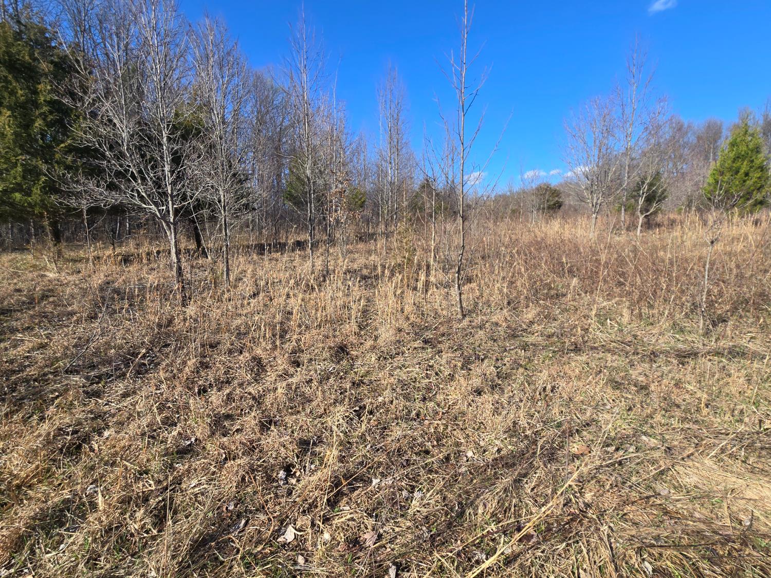 0 Mettle Road Laurel, IN 47024 - Photo 12 of 35