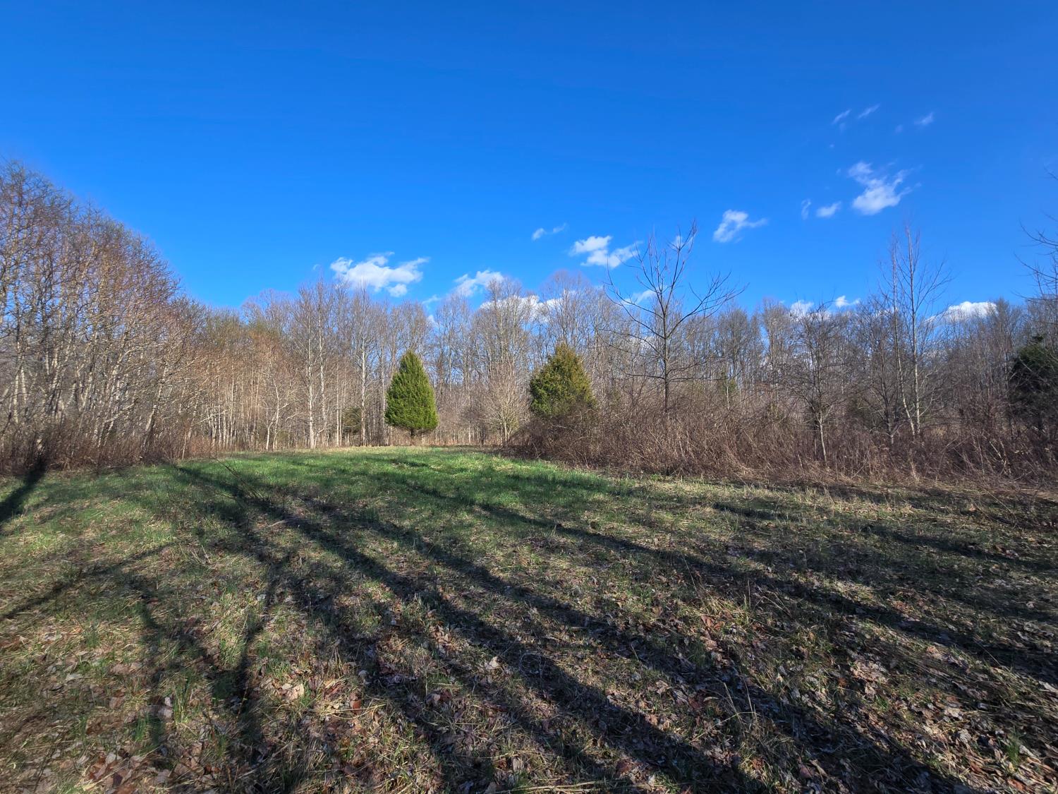 0 Mettle Road Laurel, IN 47024 - Photo 14 of 35