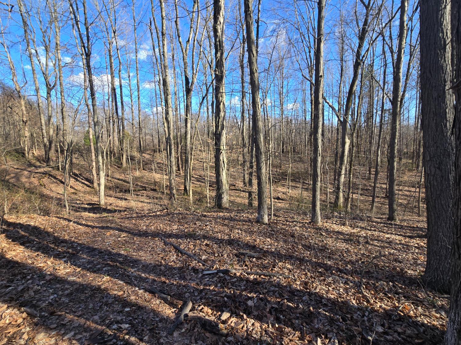 0 Mettle Road Laurel, IN 47024 - Photo 15 of 35