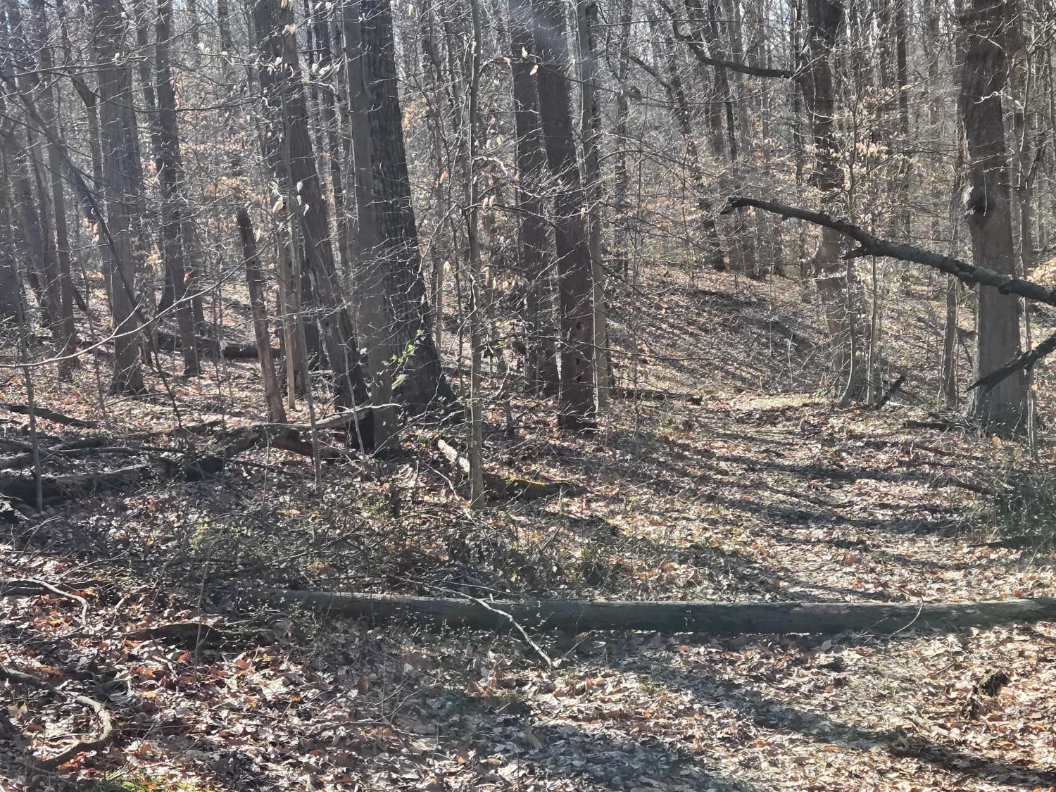 0 Mettle Road Laurel, IN 47024 - Photo 17 of 35