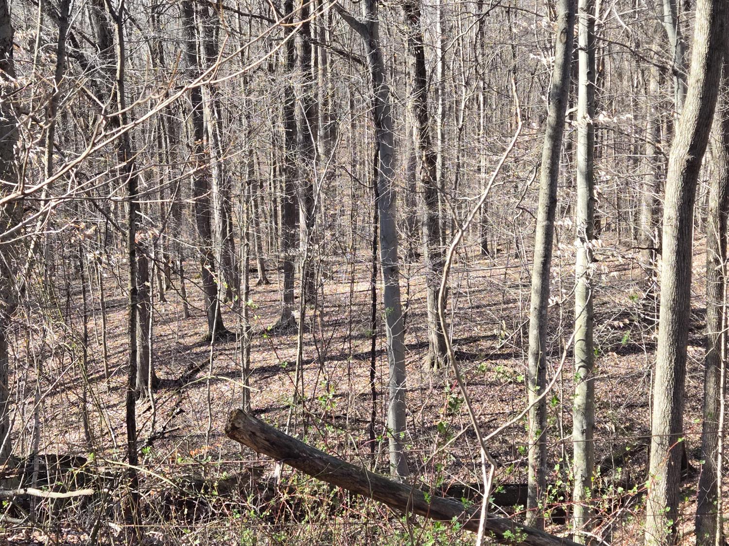 0 Mettle Road Laurel, IN 47024 - Photo 18 of 35