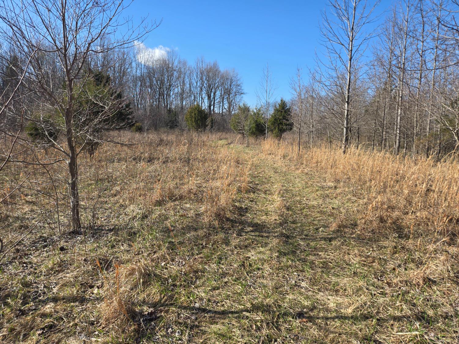 0 Mettle Road Laurel, IN 47024 - Photo 21 of 35