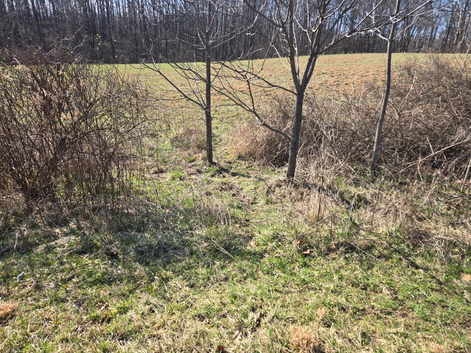 0 Mettle Road Laurel, IN 47024 - Photo 22 of 35