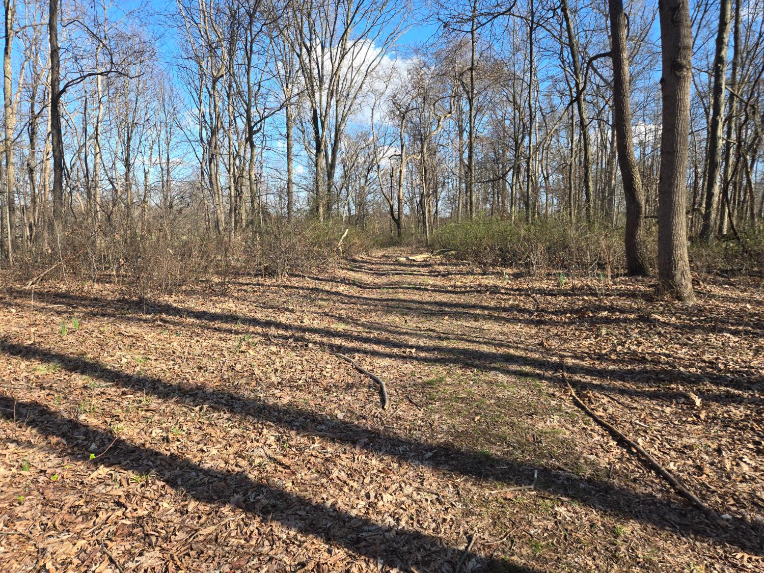 0 Mettle Road Laurel, IN 47024 - Photo 23 of 35