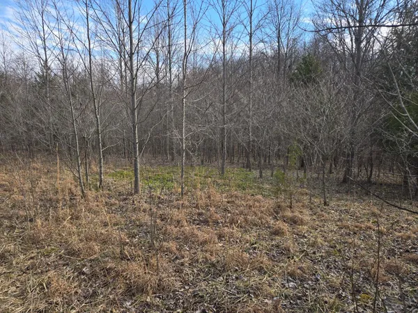 $718,750 | 0 Mettle Road, Laurel, IN 47024