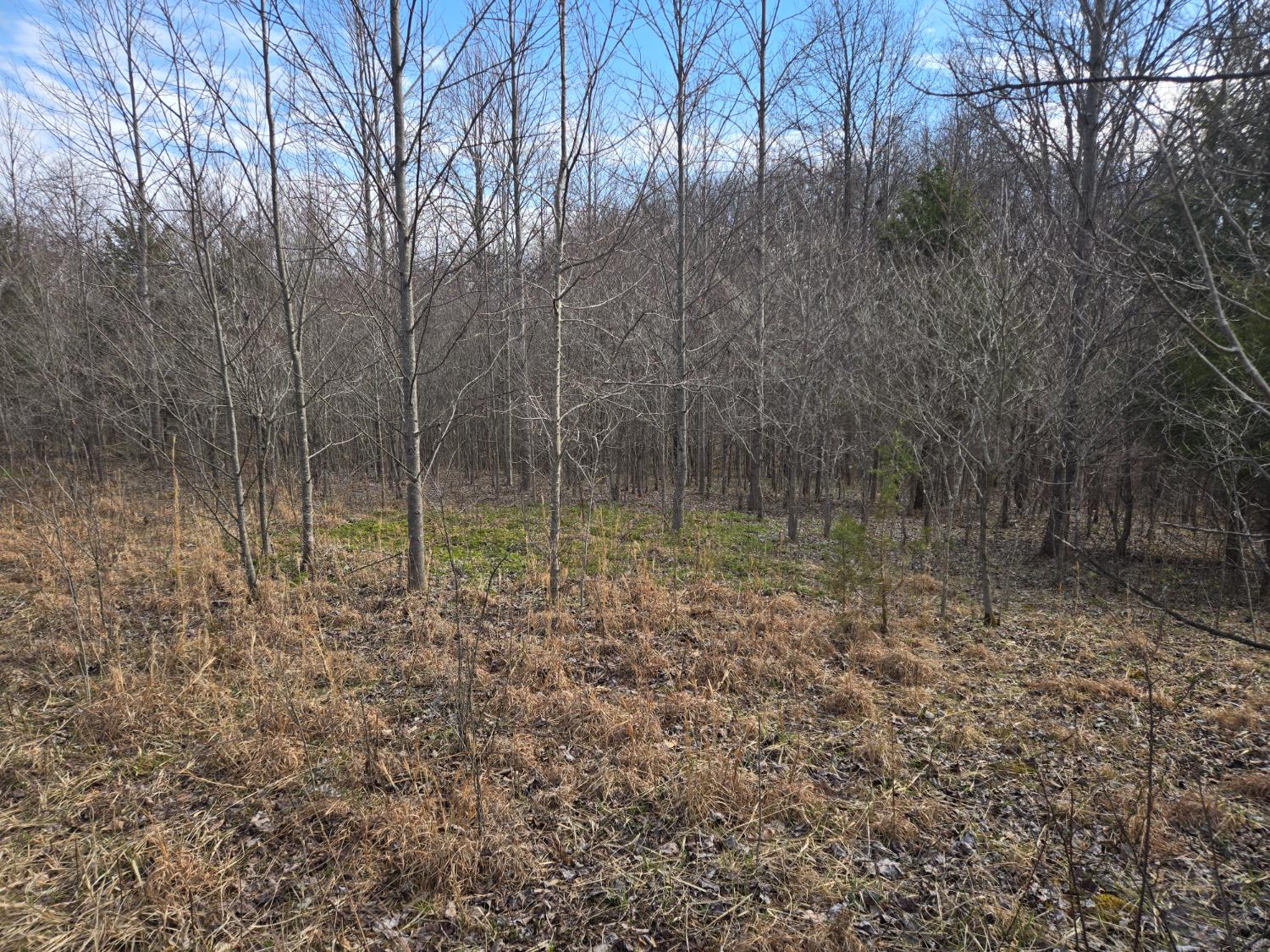 0 Mettle Road Laurel, IN 47024 - Photo 27 of 35