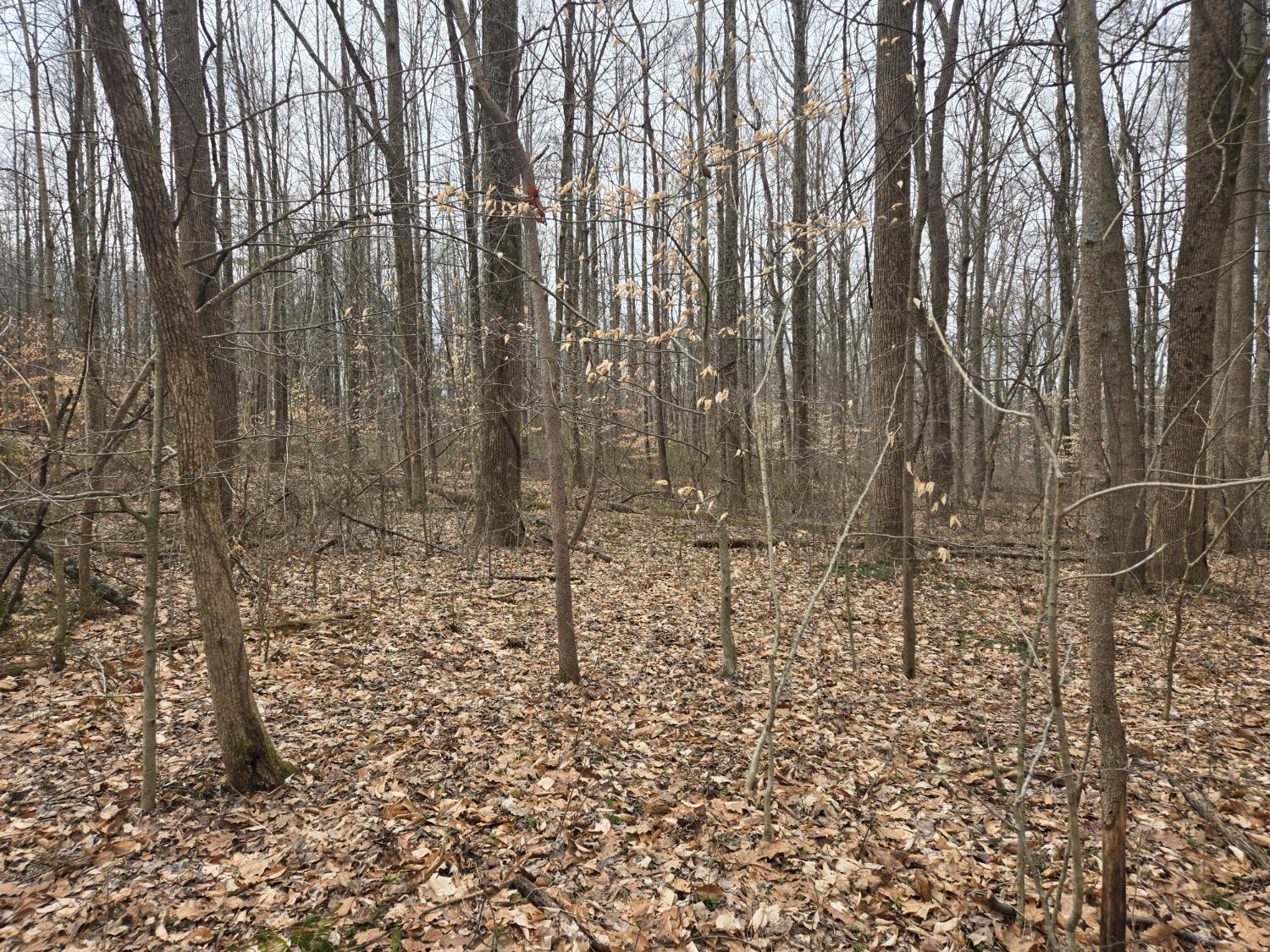 0 Mettle Road Laurel, IN 47024 - Photo 29 of 35