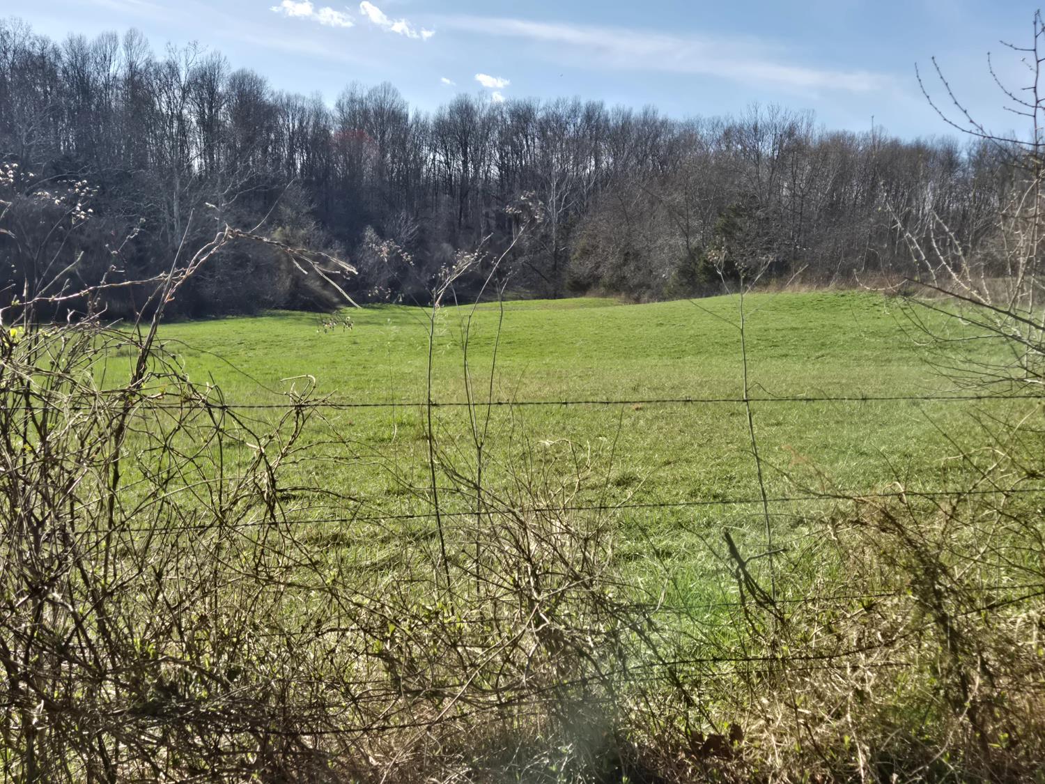 0 Mettle Road Laurel, IN 47024 - Photo 3 of 35