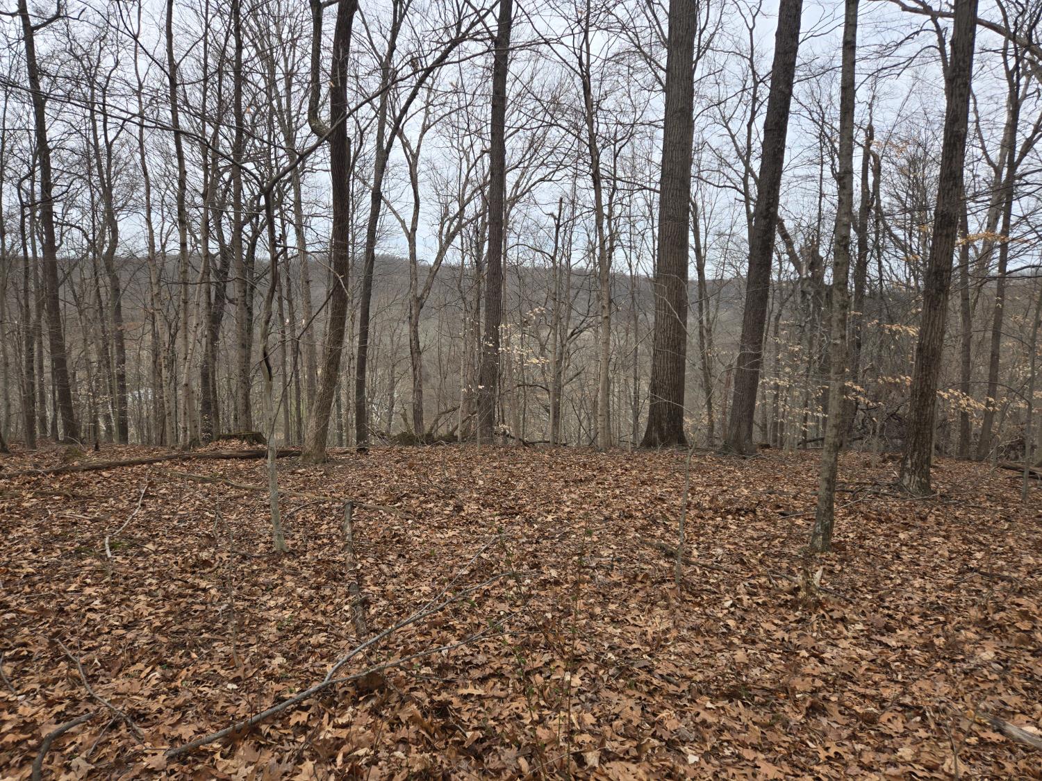 0 Mettle Road Laurel, IN 47024 - Photo 32 of 35