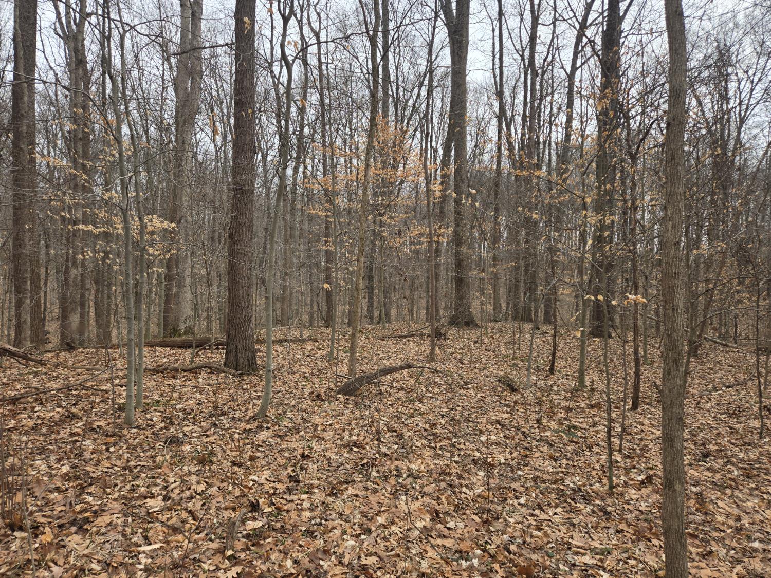 0 Mettle Road Laurel, IN 47024 - Photo 33 of 35