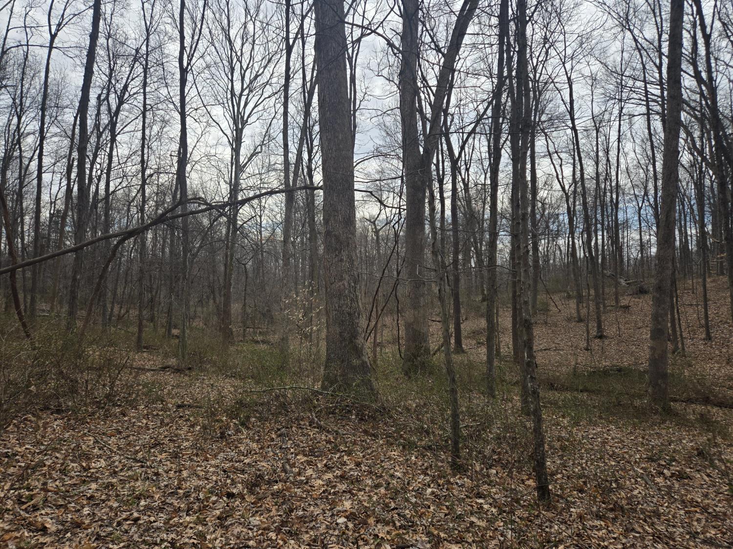 0 Mettle Road Laurel, IN 47024 - Photo 34 of 35