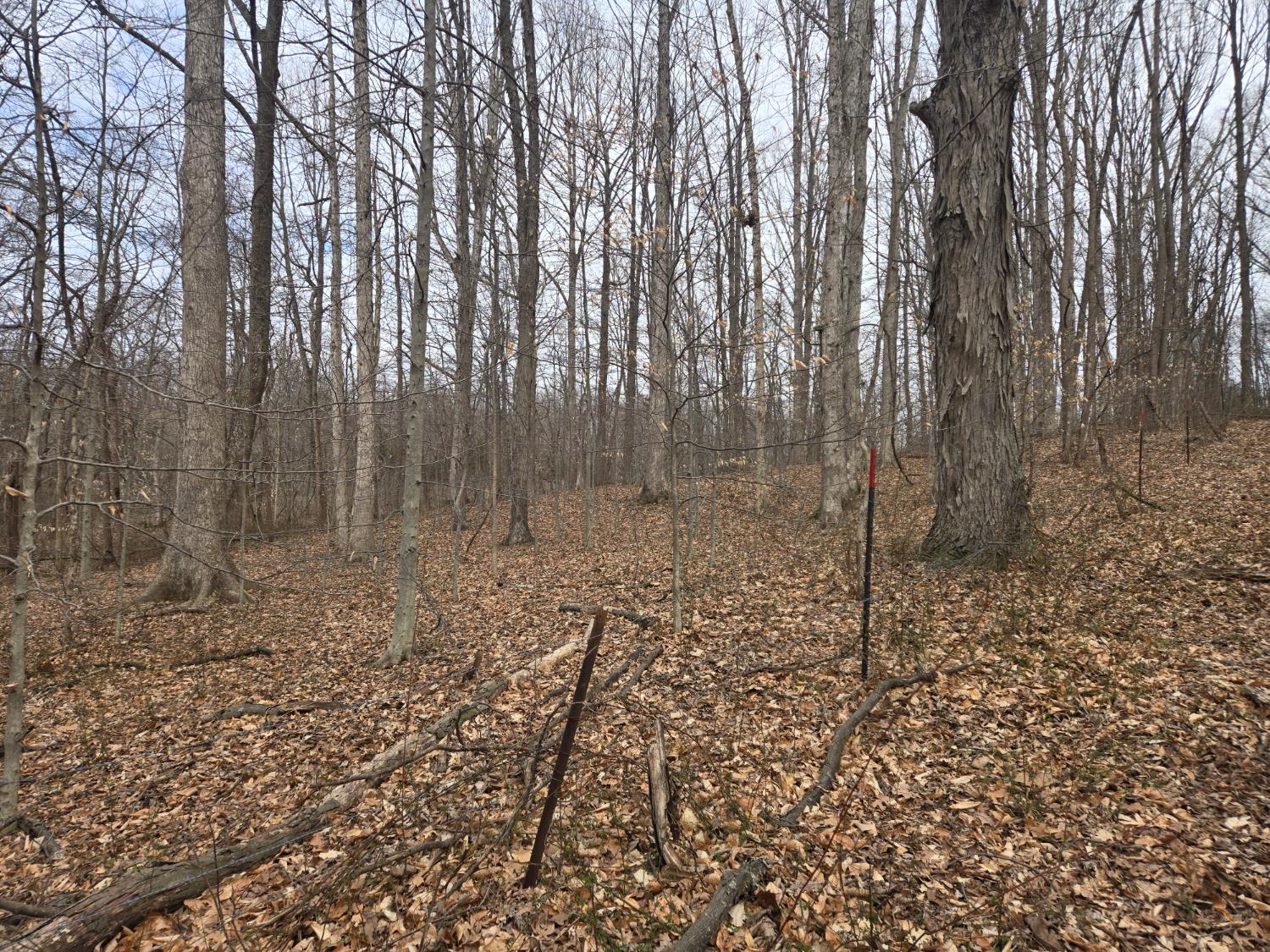 0 Mettle Road Laurel, IN 47024 - Photo 35 of 35