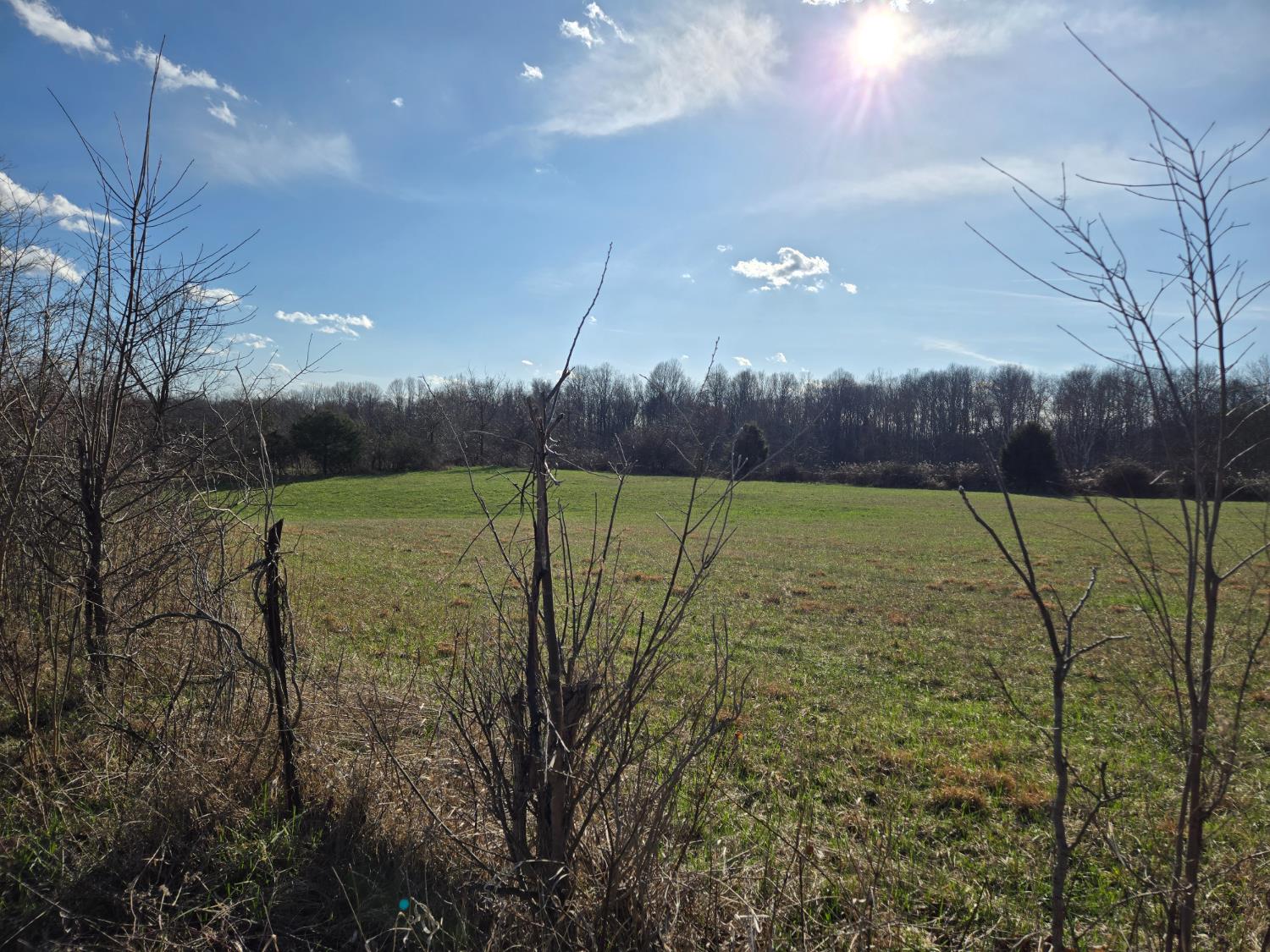 0 Mettle Road Laurel, IN 47024 - Photo 5 of 35