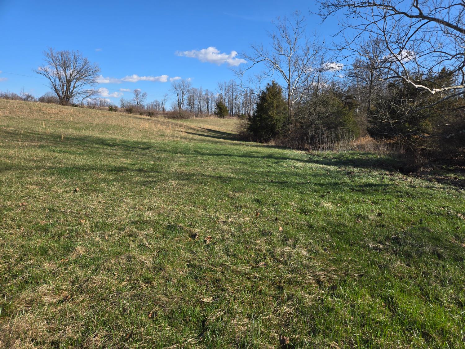 0 Mettle Road Laurel, IN 47024 - Photo 6 of 35