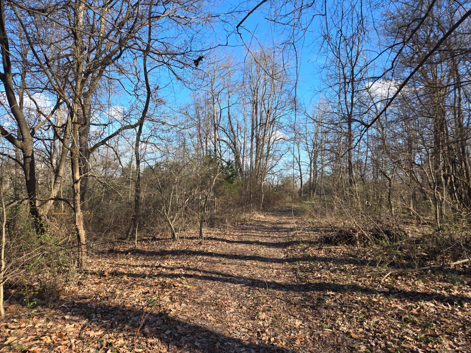 0 Mettle Road Laurel, IN 47024 - Photo 9 of 35