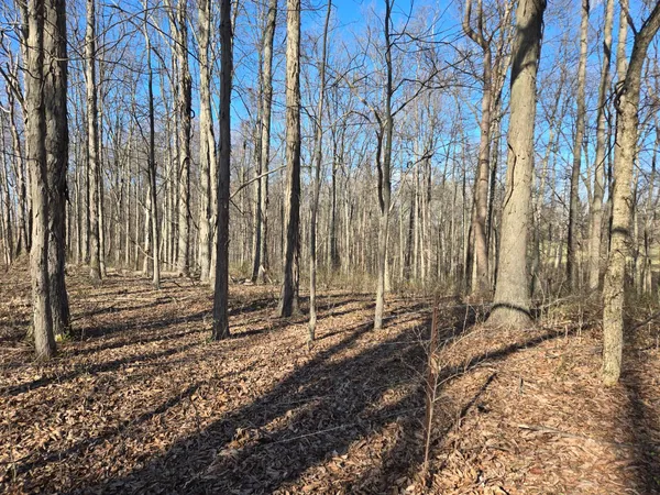 $718,750 | 0 Mettle Road, Laurel, IN 47024