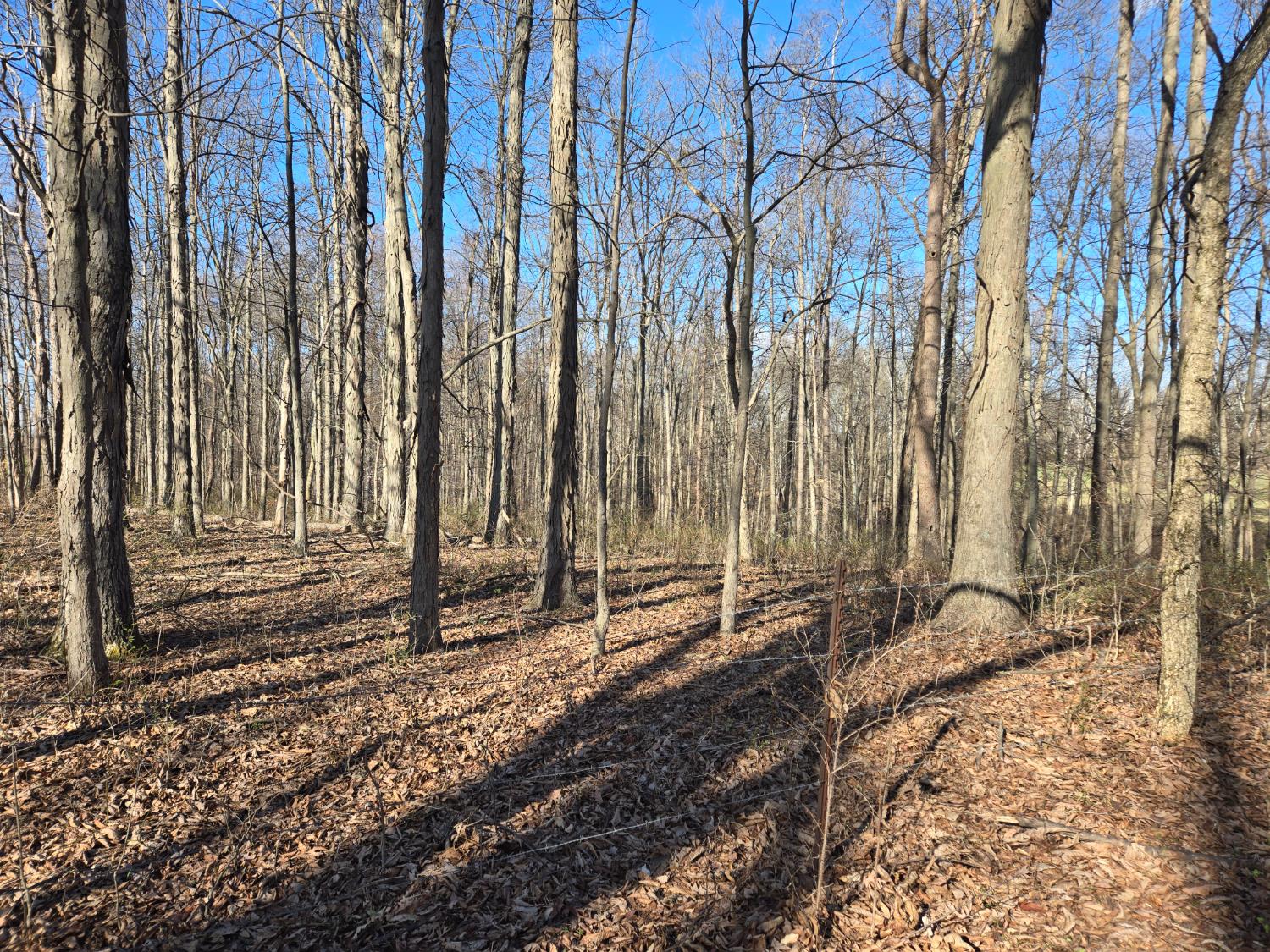 0 Mettle Road Laurel, IN 47024 - Photo 10 of 35