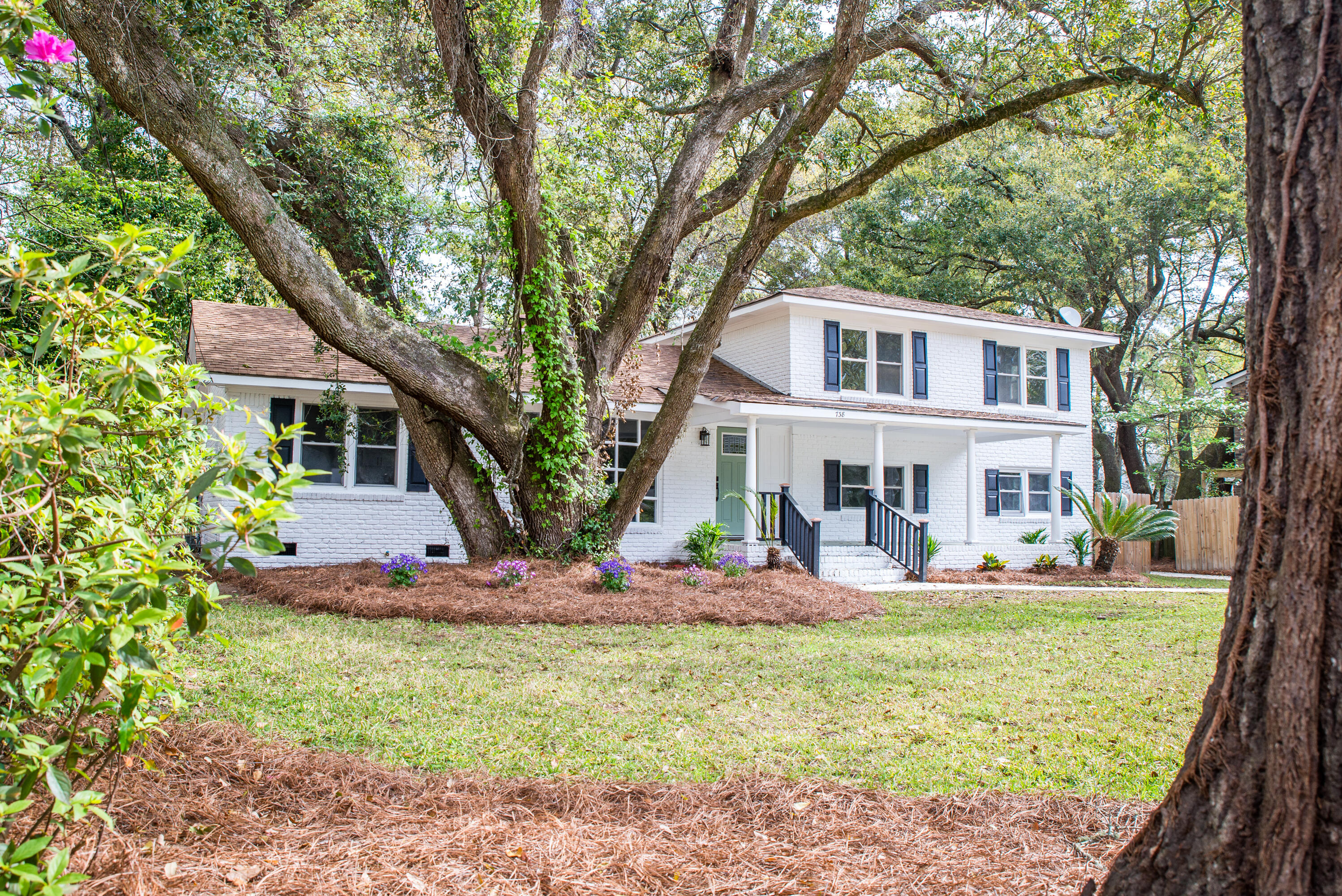 738 Tallwood Road Charleston, SC 29412 - Photo 3 of 24 738 Tallwood Road, 29412
