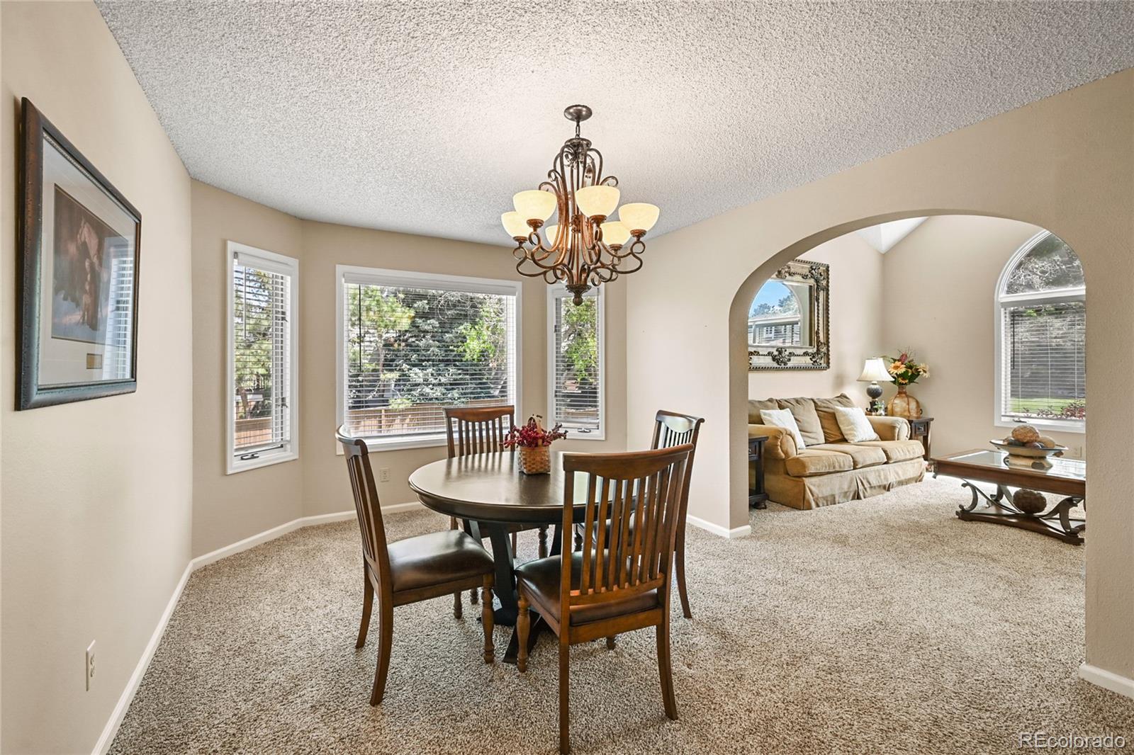 9293 Cornell Circle Highlands Ranch, CO 80130 - Photo 13 of 35