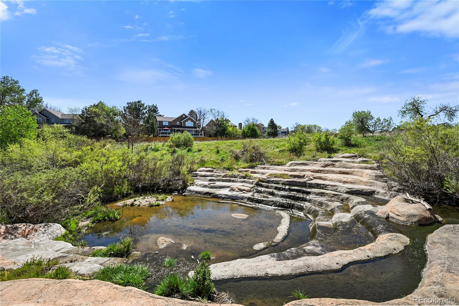9293 Cornell Circle Highlands Ranch, CO 80130 - Photo 33 of 35