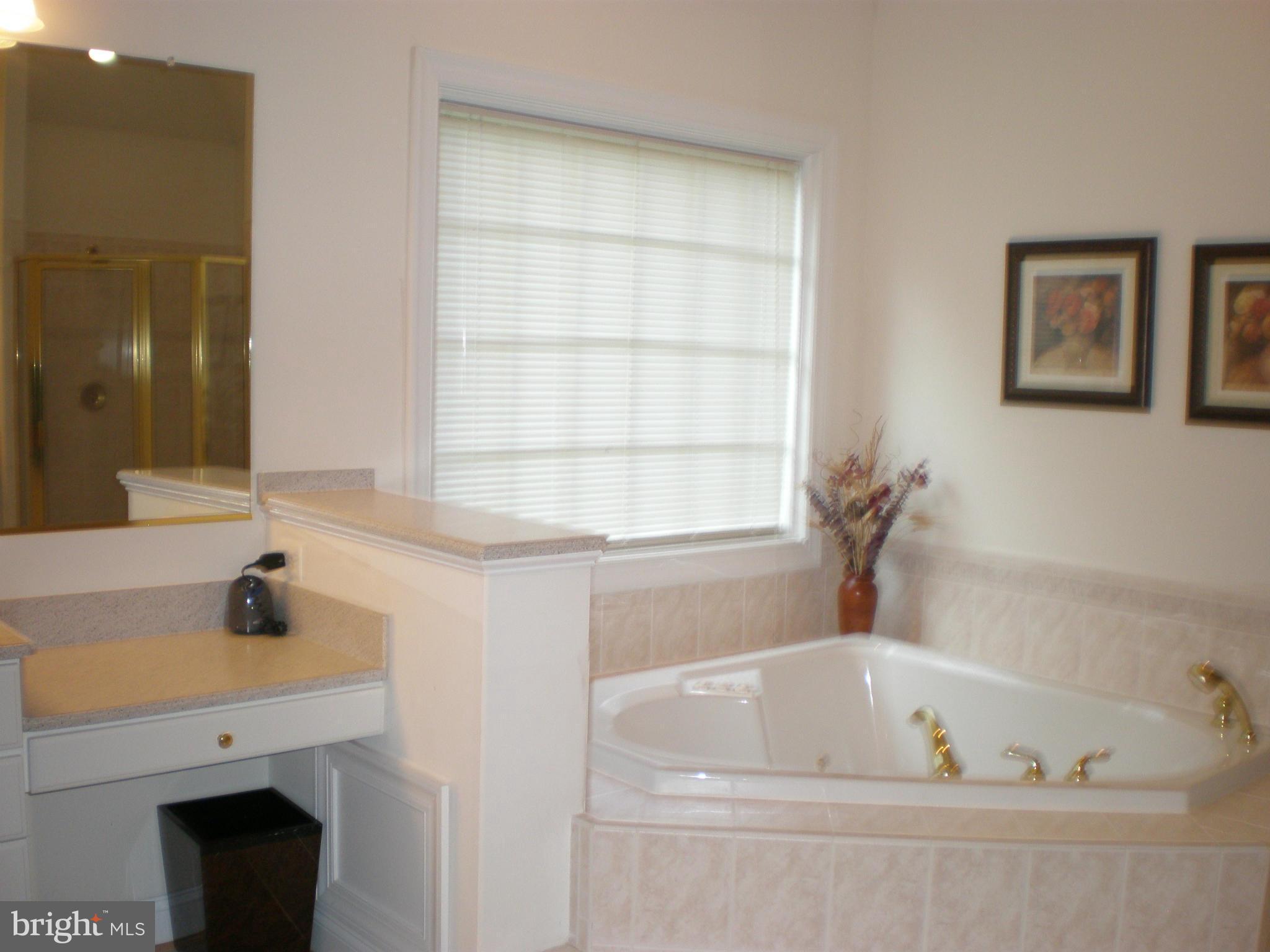 6038 Colchester Road Fairfax, VA 22030 - Photo 21 of 30 Bath (Master)