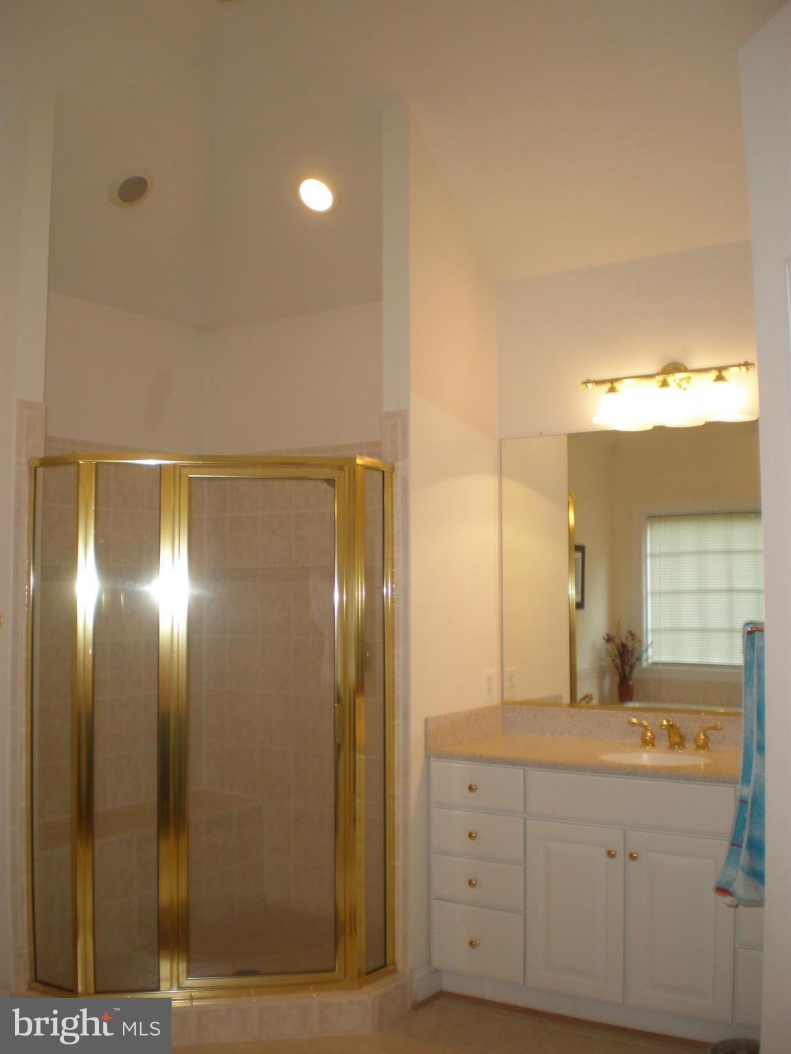 6038 Colchester Road Fairfax, VA 22030 - Photo 22 of 30 Bath (Master)