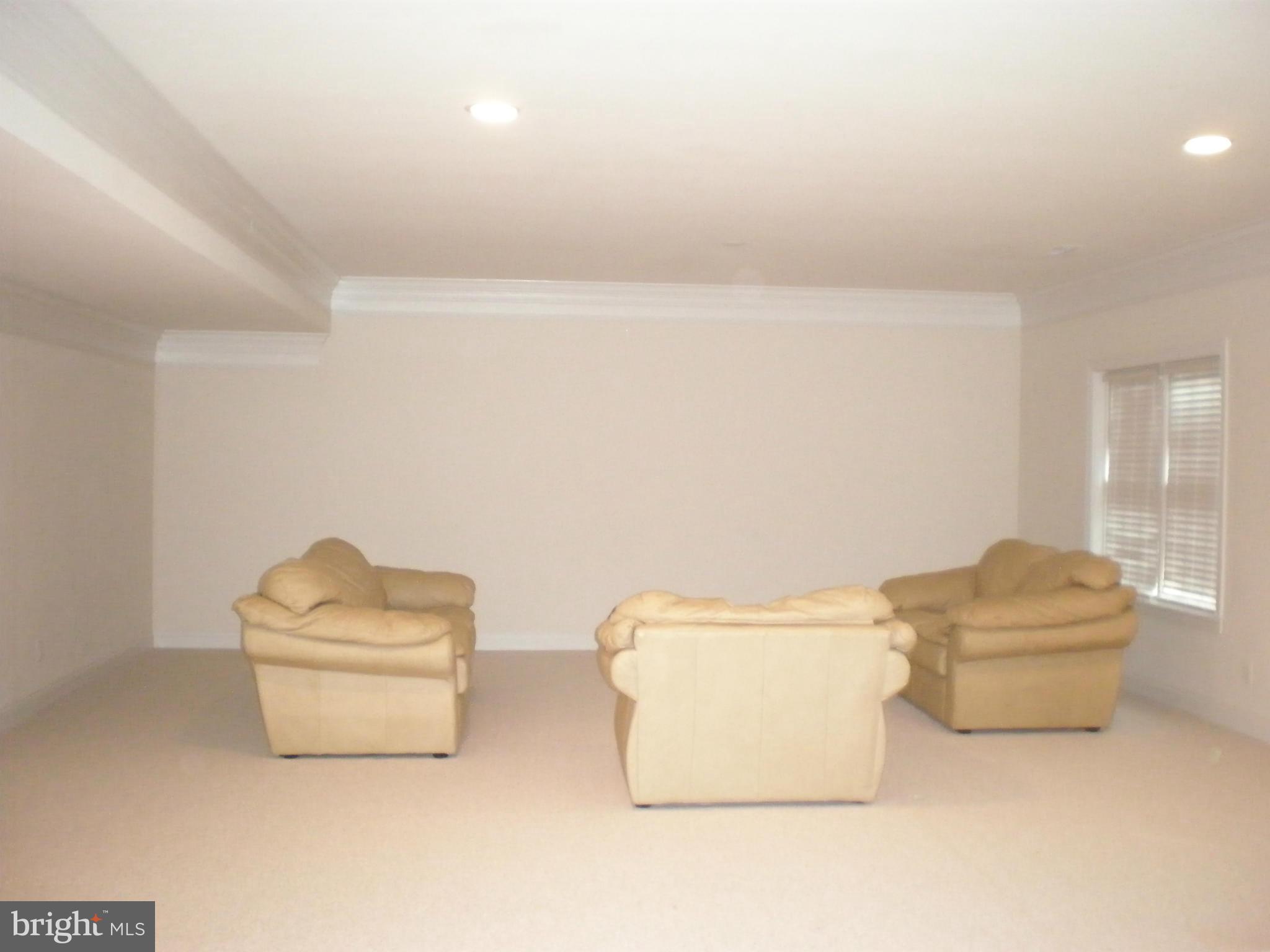 6038 Colchester Road Fairfax, VA 22030 - Photo 25 of 30 recroom