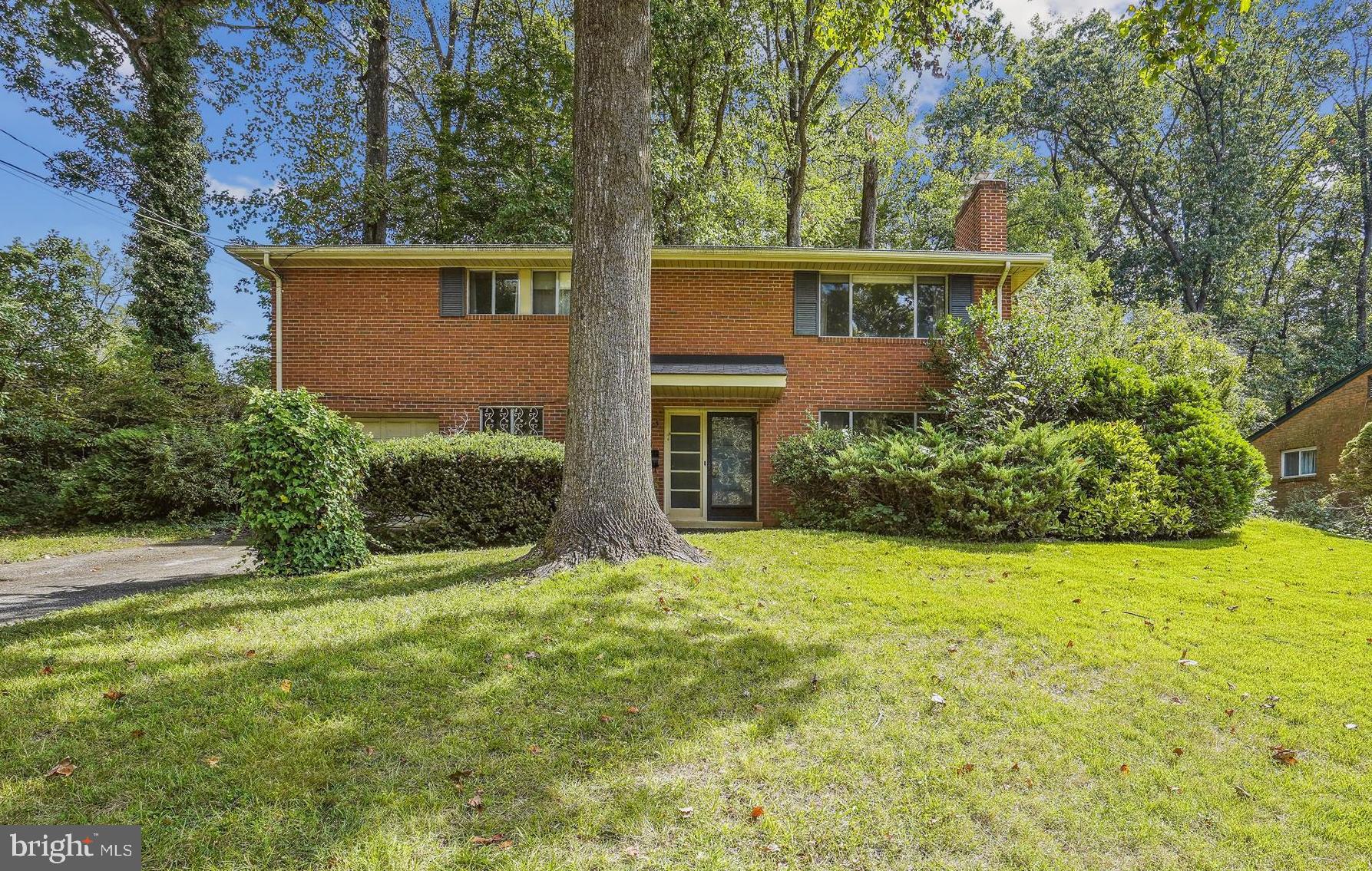 Tremendous Opportunity