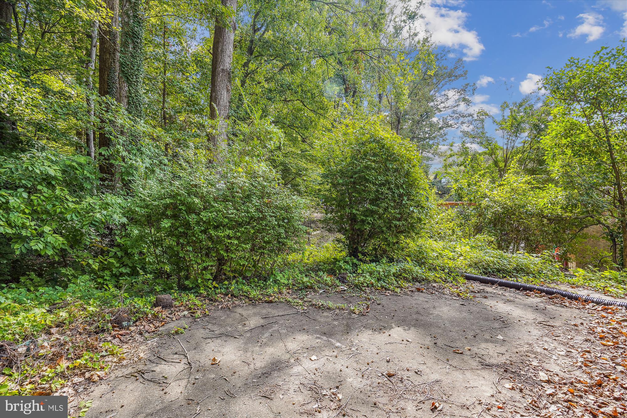 5603 Flag Run Drive Springfield, VA 22151 - Photo 27 of 27 Private Treed Lot