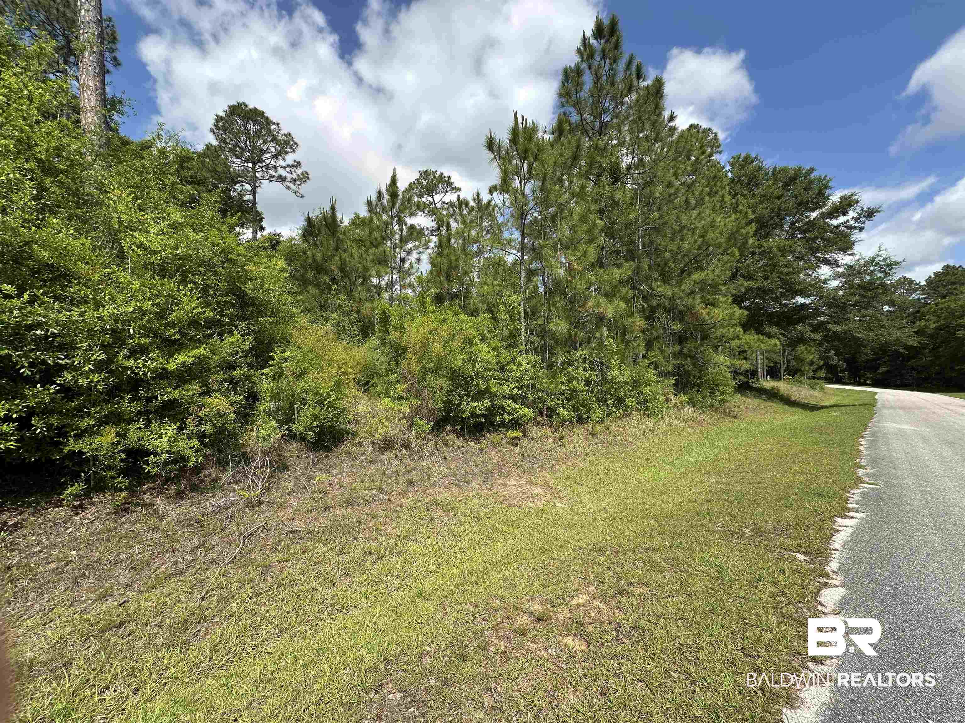 Pandion Drive Foley, AL 36535 - Photo 9 of 9 View of local wilderness