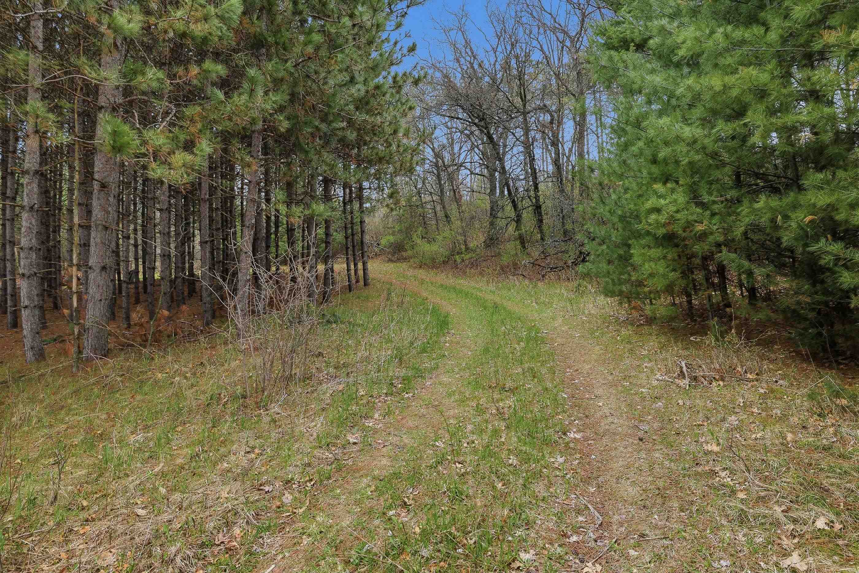 0 County Road Rosholt, WI 54473 - Photo 1 of 1 Gallery Image 1