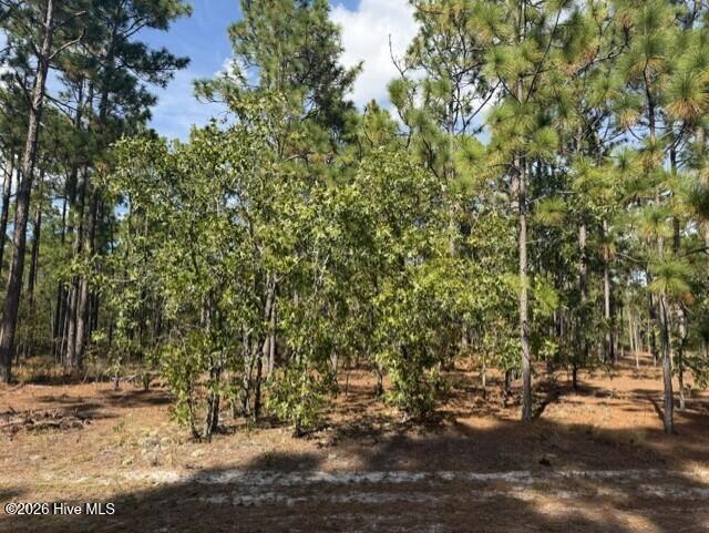125 Bay Ridge Road Harrells, NC 28444 - Photo 1 of 2 trees