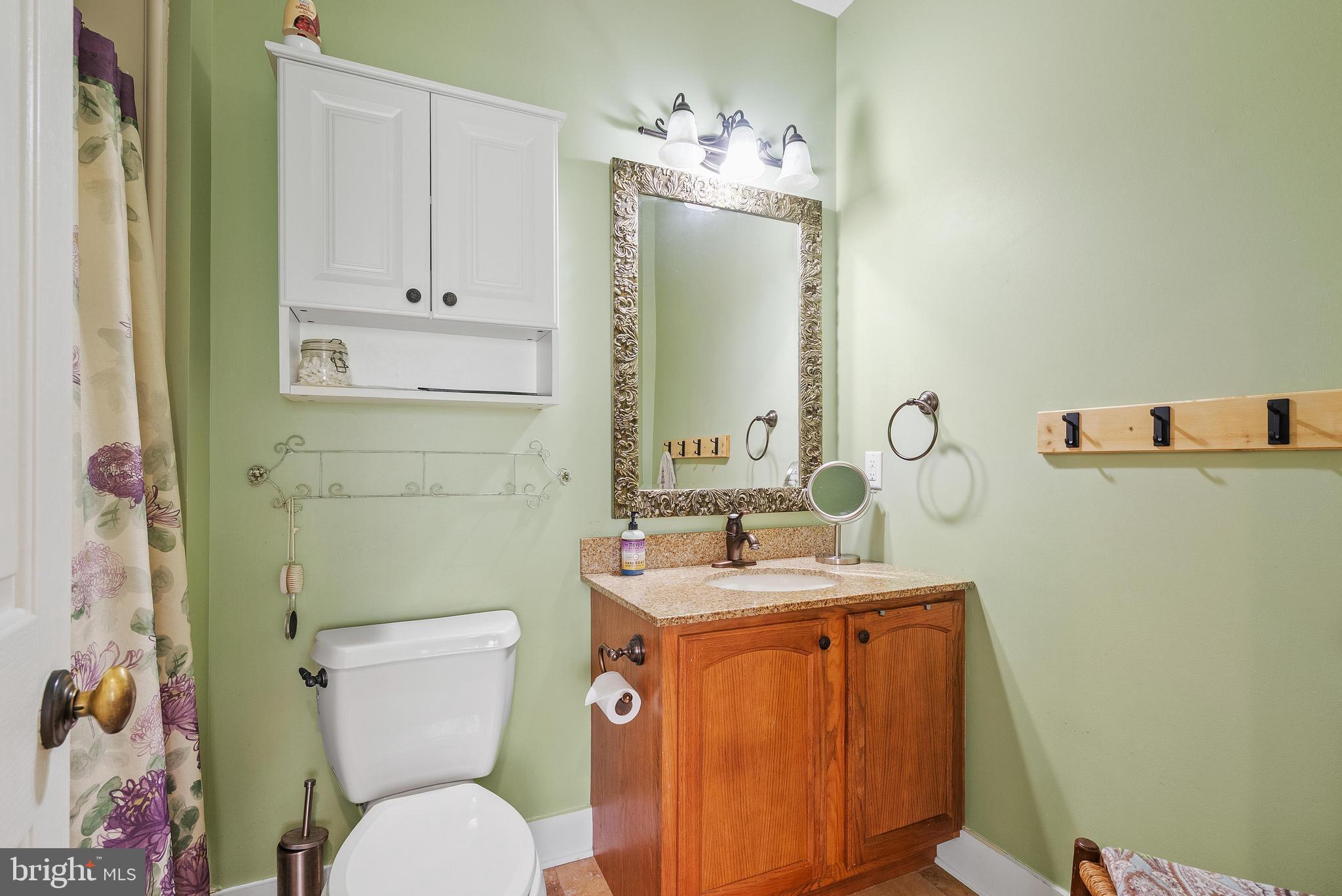 97 Wilson Road Christiana, PA 17509 - Photo 32 of 58 a bathroom with a toilet sink and mirror