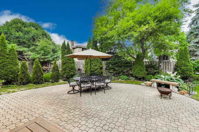 a view of a yard with plants and trees
