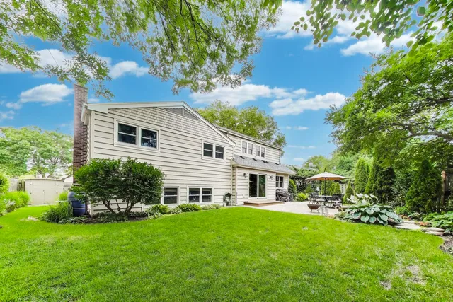 a view of a backyard with potted plants and large trees