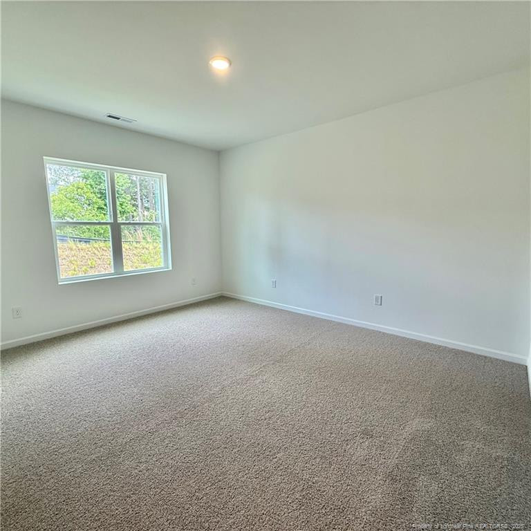 682 Union Street Raeford, NC 28376 - Photo 17 of 31 Photo 17