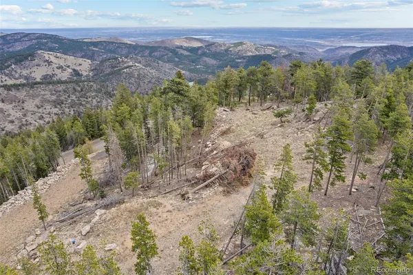 a view of a forest with a mountain