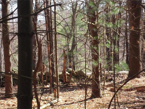 0 Burnham Road Bolton, MA 01740 - Photo 3 of 3 Gallery Image 3
