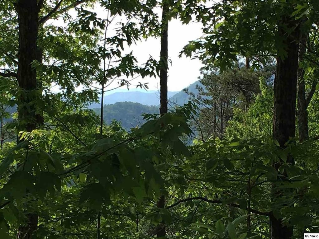 30 Ridgeback Lane Sevierville, TN 37862 - Photo 1 of 34