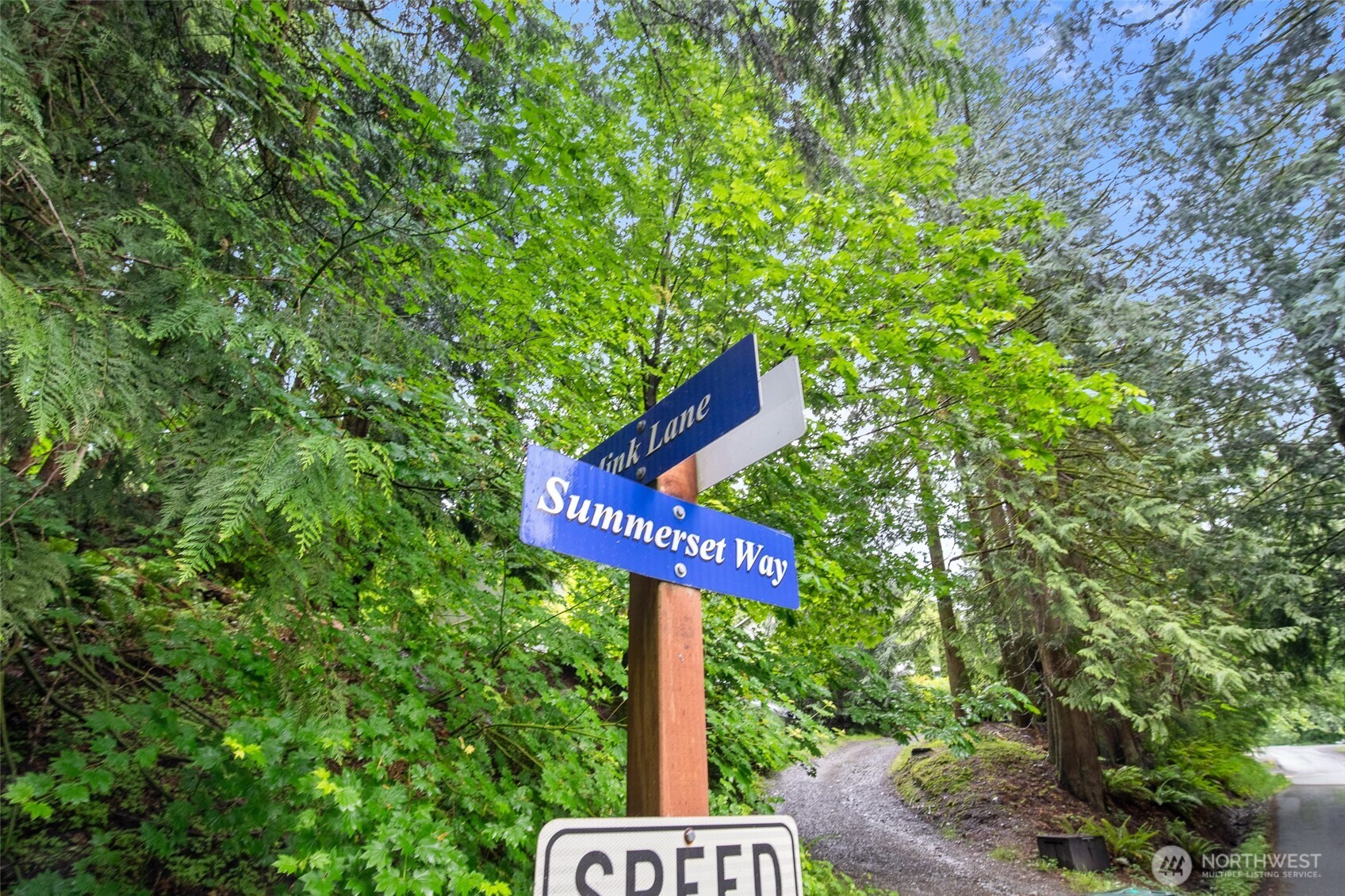 0 Summerset Way Sedro-Woolley, WA 98284 - Photo 3 of 19