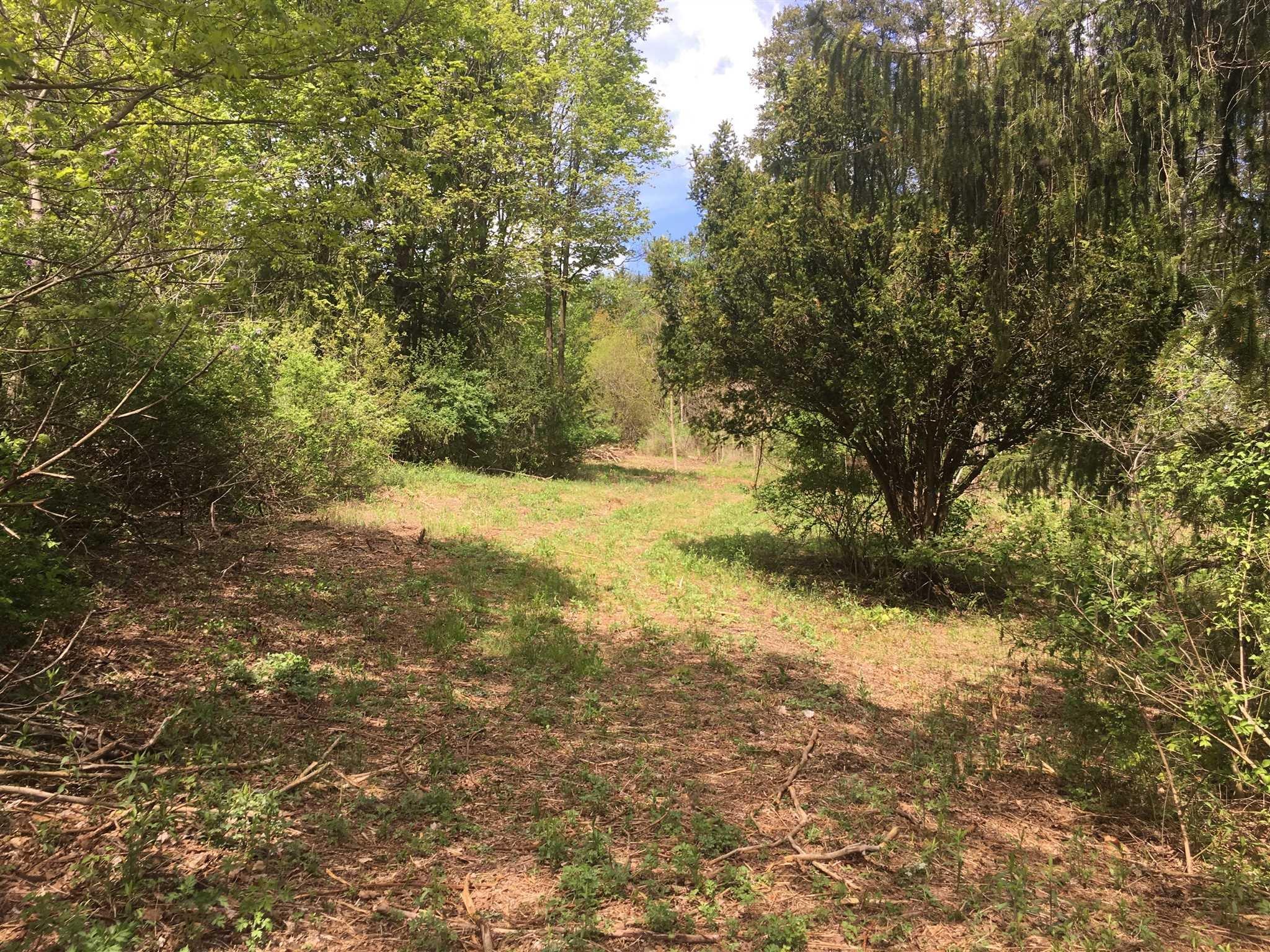 Rombout Road Poughkeepsie, NY 12603 - Photo 1 of 1 a view of a yard with a tree
