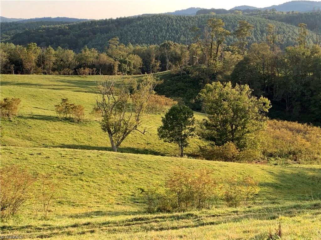 496 Osborne Memorial Road Sparta, NC 28675 - Photo 1 of 30 Rolling pasture land (92+/- acres) AND 33 acres of wooded property.